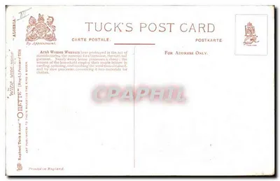 Argélia — Mulheres árabes tecendo — Tuck's Post Card n°754 — Verso