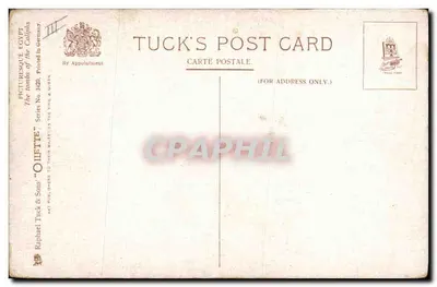 Os Túmulos dos Califas — Série No. 349 — Tuck & Sons — Verso