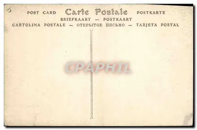 Brukselka — Katedra Najświętszej Maryi Panny, Grobowiec Marie de Bourgogne — ND Phot. — Rewers