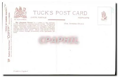 Aberdeen Terriers — Tuck's Post Card n°9534 — Verso