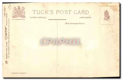 Pekin Spaniel — N. Dominiond, editore Tuck & Sons, n° 9639 — Verso
