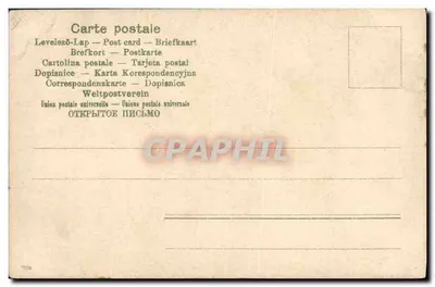 Ritratto di un bracco tedesco — n. 7376 — Verso