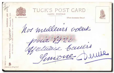 Gato preto e cachorro — Sujeto do racionamento — Tuck's Post Card n°3123 — Verso
