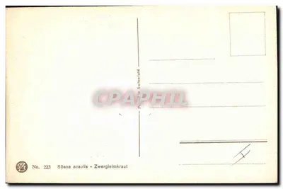 Silene acaulis - Zwergleimkraut — STF Nr 223 — Szwajcaria — Rewers