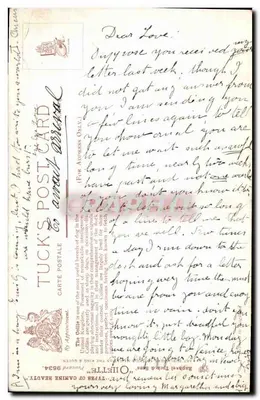 Dois Collies — Pintura de Bilette — Tuck's Postcard — Verso