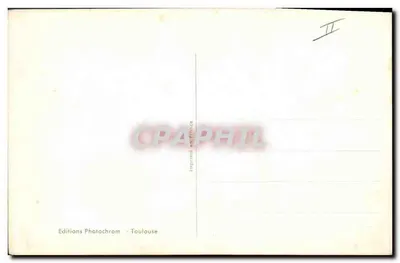Cão de caça — retrato — M. E. Cooper — Verso