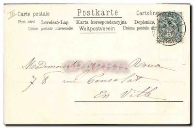 Cães na neve — cartão de felicitações 1909 — A.S.M. B. 18304 — Verso