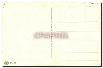 Due cani — ritratto — Jannie Moody — Verso