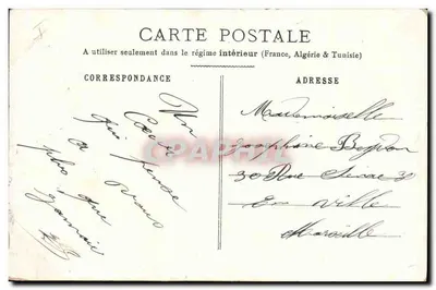 Três filhotes de cão de caça — ilustração — editor desconhecido — Verso