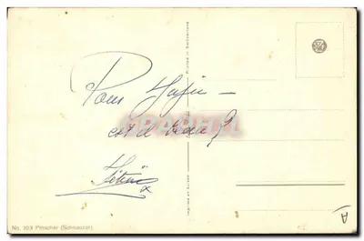 Cão da raça Schnauzer — retrato — J. Biret, No 103 — Verso