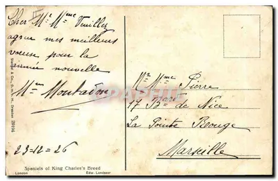 Deux chiens de race King Charles — œuvre d'Edw. Landseer — éditeur London — Verso