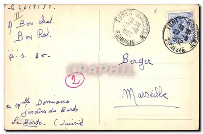 Cão branco — Scottish Terrier — editor não visível — Verso