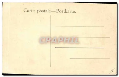 Menina com seus pequenos animais de estimação — Warte Kätzchen — A.J. Elsley, série 4010 — Verso
