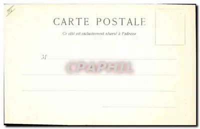 Dois cães de caça em um paisagem florestal — ilustração aquarelada — editor não identificado, número de série não visível — Verso