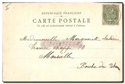 Dwa szczeniaki border collie — Wydawca J. W. H. & B. Nr 504 — 1898 — Rewers