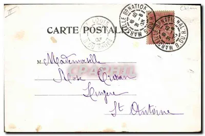 Deux chiots jouant — illustration colorée — éditeur 'Leah & Thé' n° 6510 — Verso