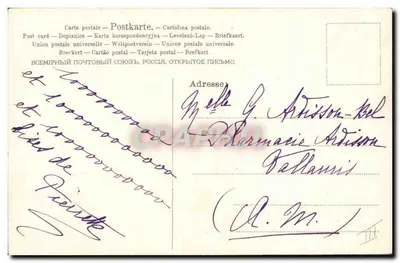 Cachorro preto — retrato — A&M B No 532 — Verso