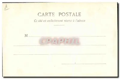 Kwiaty zimowe — fototypia A. Beakenet & Cie, Nancy — n°7 — Rewers