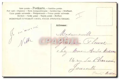 Cachorro — retrato — A.&W.B. No 532 — Verso
