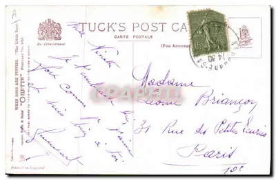 Dois filhotes e um pintinho — B. Cubis — Tuck's Post Card — Verso
