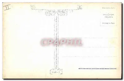 Biały pies na czerwonym poduszkowym — żółte róże — rysunek A. V. Terezi — Rewers
