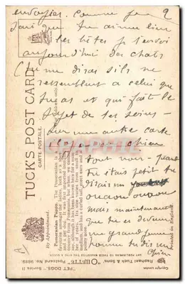 Cão Pomeranian preto — desenho — Tuck & Sons, série II, n° 9889 — Verso