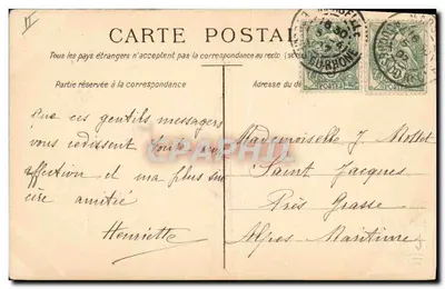 Filhotes de border collie — em um cesto — desenho de Maud Scrivener — Verso