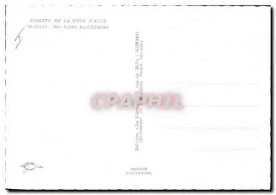 Ryby — rynek — Éditions de la Côte d'Azur, nr 06.000.55 — Rewers