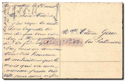 Trzy szczeniaki — dachshund, maltański i beagle — na ławce — wydawca nieznany — Rewers