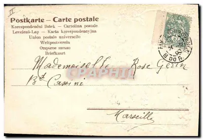 Duas pombas apaixonadas — flores e rosa — editor não visível — Verso