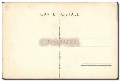 Dois cães — com buquê de tulipas e mimosa — desenho de Bernelet — Verso