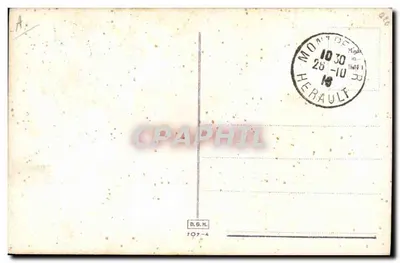 Fox-terrier met glad haar — illustratie — uitgever onbekend — Achterkant