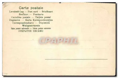 Portrait de chien — profil — dessin de Frederick Davis — Verso