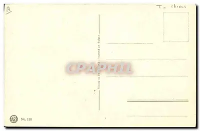 Retrato de cão alemão — obra de Wardis — editor STZF, n° 110 — Verso