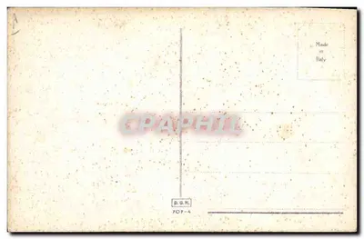 Fox-terrier bez sierści — ilustracja — D.G.M. 707-4 — Rewers