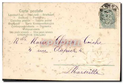 Flor de rosa e insetos — 15 Abril — editor não visível — Verso