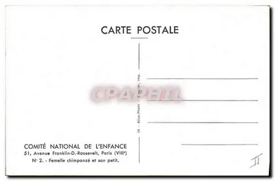 Fêmea de chimpanzé e seu filhote — COMITÉ NATIONAL DE L'ENFANCE, Paris — Verso