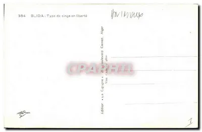 Blida - Tipo de macaco em liberdade — Edição « A Cegonha » — Verso