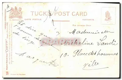Scimmia civilizzata — con pipa e secchio — editore Tuck's Post Card — Verso