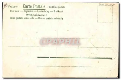 Singe et chatons — scène animale — Verso