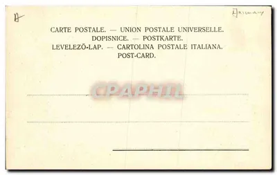 Due scimmie che bevono — illustrazione umoristica — editore non visibile — Verso