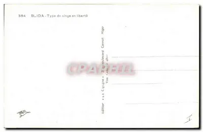 Blida - Tipo de macaco em liberdade — edição La Cigâne, Argel — Verso