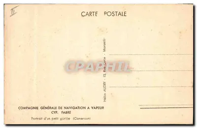 Retrato de um pequeno gorila — Cameroun — Pierre Ichac — Verso