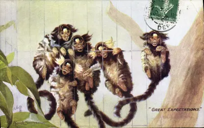 Gruppe Affen — 'Great Expectations' — Tuck's Post Card