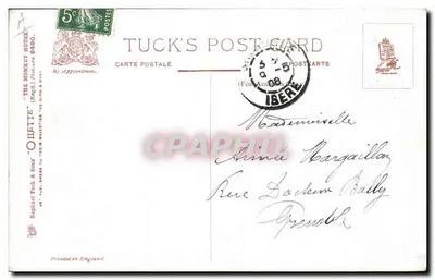 Gruppe Affen — 'Great Expectations' — Tuck's Post Card — Rückseite