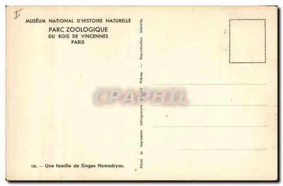 Uma família de Macacos Hamadryas — Museu Nacional de História Natural, Parque Zoológico do Bois de Vincennes, Paris — n° 186 — Verso