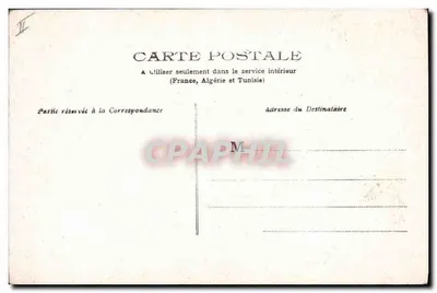 Lilium valerianum — ilustracja botaniczna — seria nr 393 — Rewers