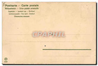 Alpes — flores de edelweiss — editor W. n° 5143 — Verso
