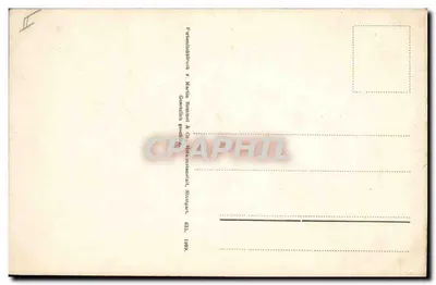 Lírio do Vale — ilustração botânica — editor Martin Rommel & Co., Stuttgart — Verso