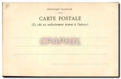 Cisnes em voo — montanhas no fundo — carta postal francesa — Verso